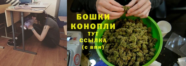 стаф Вязники