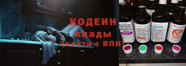 винт Вяземский