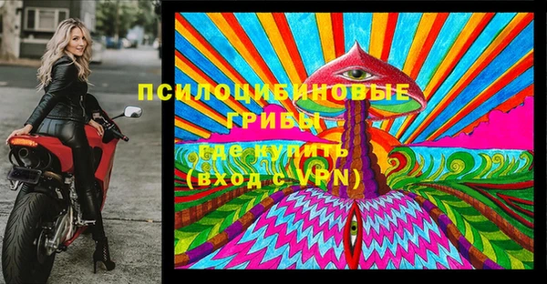 винт Вяземский