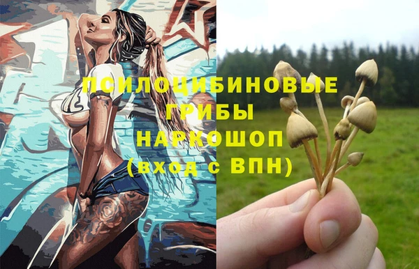 стаф Вязники