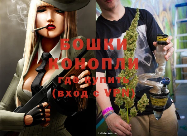 стаф Вязники
