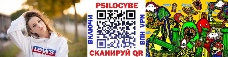 Галлюциногенные грибы Cubensis  Купить  Сурск 