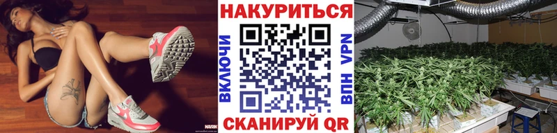 Каннабис SATIVA & INDICA Сурск